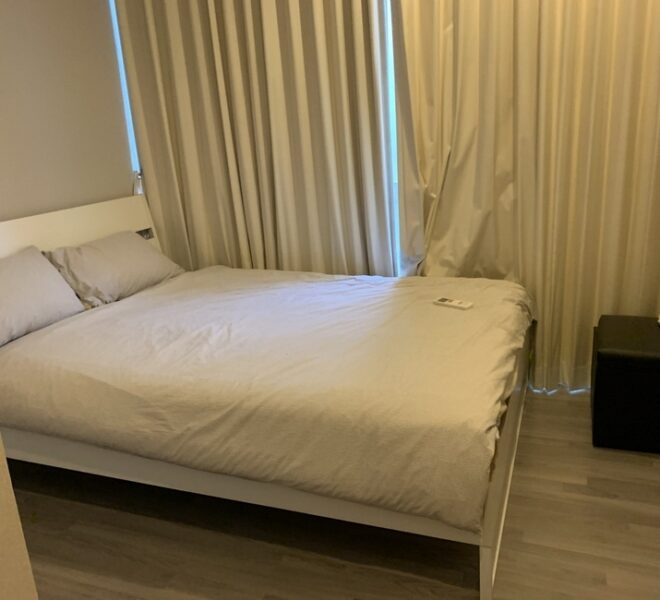 13234 Image-03