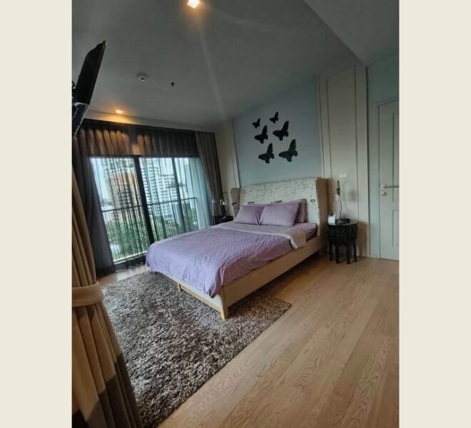 61699 Image-05