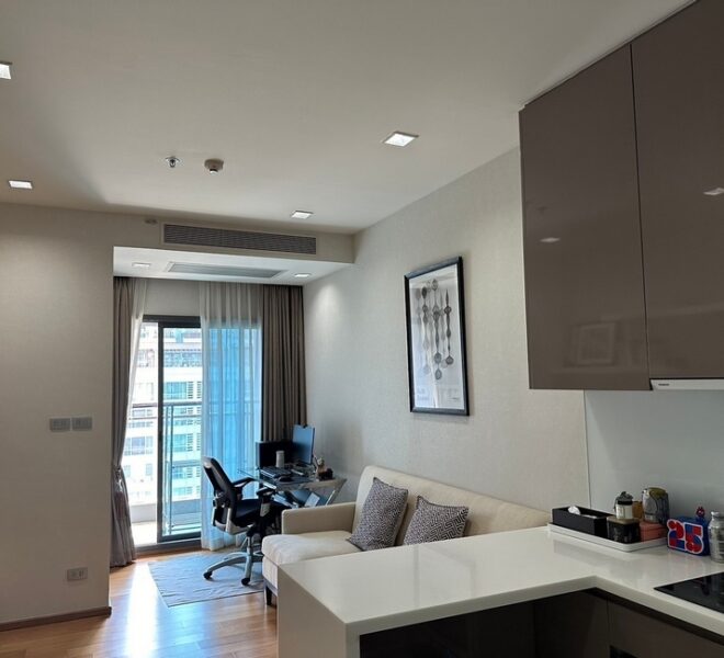 61733 Image-02