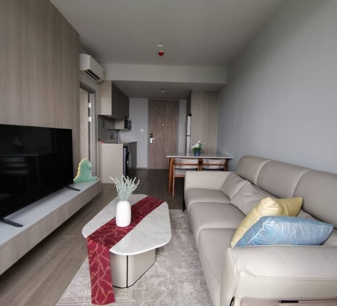 61791 Image-04